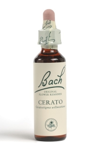Fleur de Bach Plumbago / Cerato - Flacon compte-gouttes 20 ml