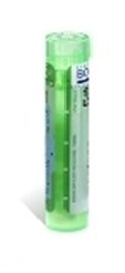 THUYA OCCIDENTALIS Tube granules BOIRON