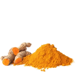 EPS CURCUMA  (flacon 500 ml) Extrait de Plante Fraiche Phytostandard