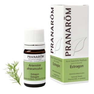 Huile essentielle prédiluée estragon aromathérapie antivirale antispasmodique