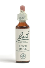 Fleur de Bach Hélianthème / Rock Rose - Flacon compte-gouttes 20 ml