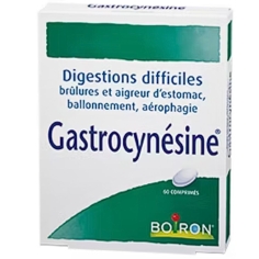 BOIRON - GastroCynesine Boite 60 Comprimés