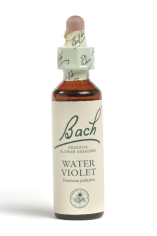 Fleur de Bach Hottonie des marais / Water Violet - Flacon compte-gouttes 20 ml
