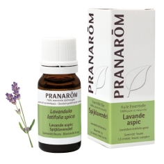 lavande aspic lavandula spica huile essentielle cineole linalol camphre cicatrisante antalgique antivirale fongicide piqures brulures