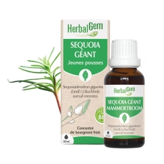 HERBALGEM Jeune Pousse de Sequoia Géant Bio - 30ml