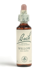 Fleur de Bach Saule / Willow - Flacon compte-gouttes 20 ml