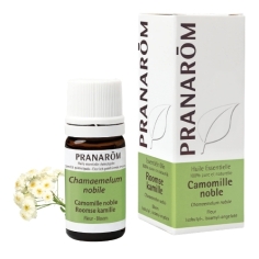 camomille noble chamaemelum nobile huile essentielle anti inflammatoire calmante antalgique sédative digestion apaisante fleur