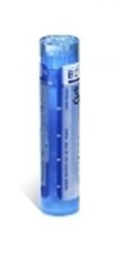 POLLENS (POLLANTINUM) Tube granules BOIRON