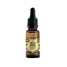 BIOFLORAL Joie de Vivre - Fleur de Bach BIO Églantier (37) - 20ml