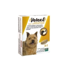 Veloxa Vermifuge chien (comprimés à croquer) équivalent Drontal