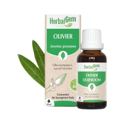 HERBALGEM Bourgeon d'Olivier Bio - 30ml