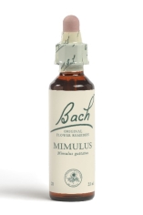Fleur de Bach Mimule / Mimulus - Flacon compte-gouttes 20 ml