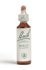 Fleur de Bach Houx / Holly - Flacon compte-gouttes 20 ml