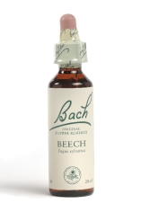 Fleur de Bach Hêtre / Beech - Flacon compte-gouttes 20 ml