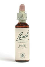 Fleur de Bach Pin / Pine - Flacon compte-gouttes 20 ml