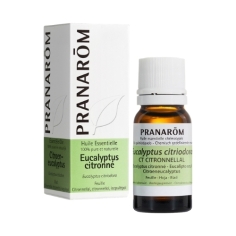 huile essentielle eucalyptus citronne citriodora citronnellal anti inflammatoire moustiques douleur musculaire naturel aromatherapie bio