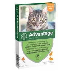 ADVANTAGE - 40 Antipuces Chat et Lapin 6 pipettes