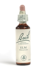 Fleur de Bach Orme / Elm - Flacon compte-gouttes 20 ml