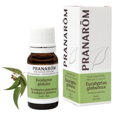 eucalyptus globulus huile essentielle cineole antiviral expectorant antibacterien antifongique respiratoire