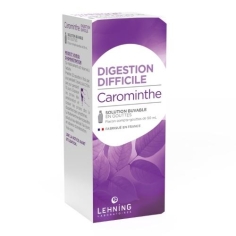 CAROMINTHE Lehning 90 ml 