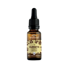 BIOFLORAL Joie de Vivre - Fleur de Bach BIO Clématite (9) - 20ml