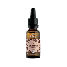 BIOFLORAL Volonté - Fleur de Bach BIO Gentiane (12) - 20ml
