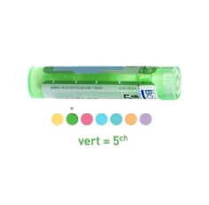 OESOPHAGE Tube granules BOIRON