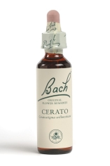 Fleur de Bach Plumbago / Cerato - Flacon compte-gouttes 20 ml