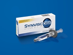 SYNVISC ONE Seringue en verre (6ml) Hylane G-F 20