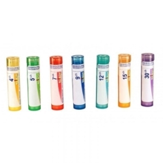 BOIRON - Homéopathiques Magnesium Metallicum Tube Granules 4 G