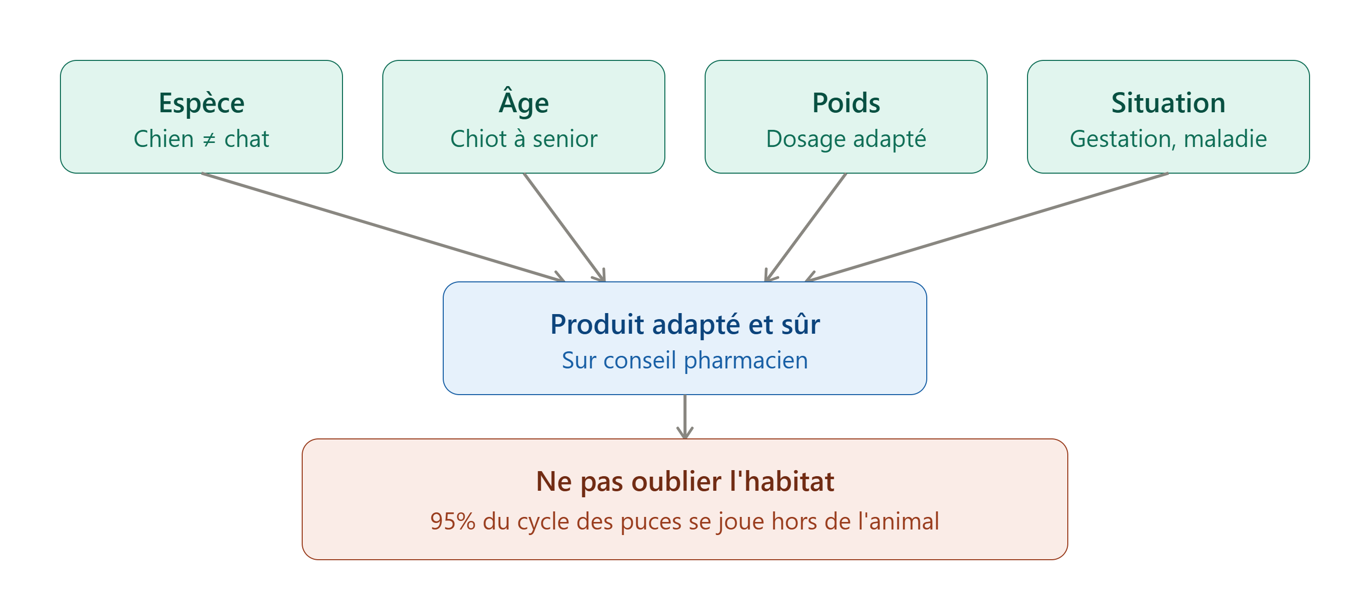 Les critères de choix des antiparasitaires chiens & chats