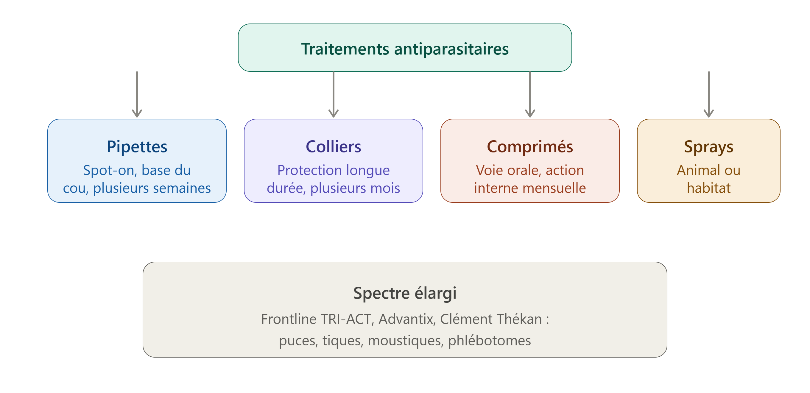 Panorama des traitements antiparasitaires chien et chat en pharmacie en ligne sur Pharmacie Veau